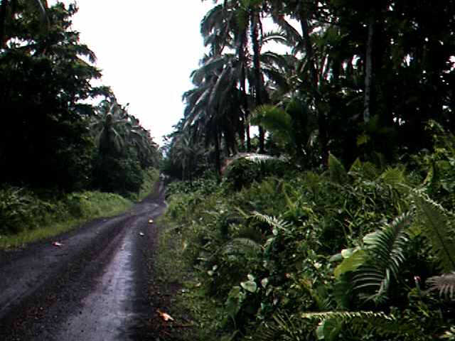 Haupstrae im Dschungel auf Western Samoa
